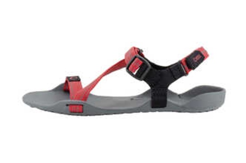 (xero Shoes Switzerland) Coal Black/Black Amuri Z-Trek Für Damen